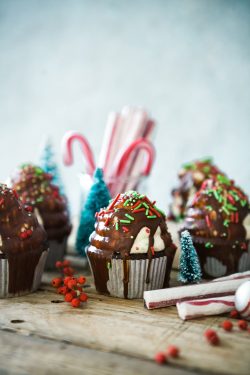 cupcake holiday treats with braces